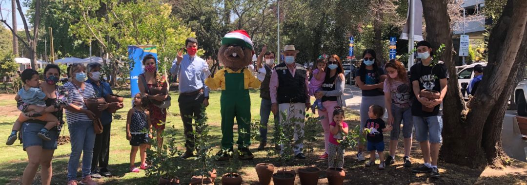 Vecinos de Ñuñoa recibieron un árbol como regalo de Navidad – Santiago  Recicla
